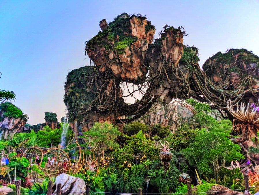 Animal Kingdom